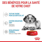 Royal Canin Aliment Humide Chien Medium Puppy Sauce - Sachet fraîcheur pour chiot 140g